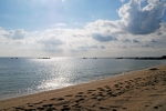 Pauline Dechert- Strandspaziergang